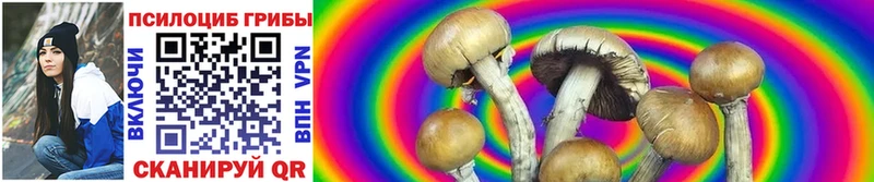кракен tor  где купить   Слюдянка  Галлюциногенные грибы Cubensis 